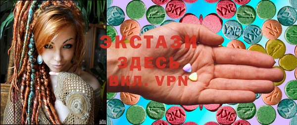 стаф Аркадак
