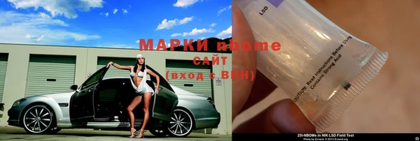 стаф Аркадак