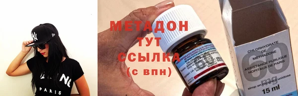 стаф Аркадак