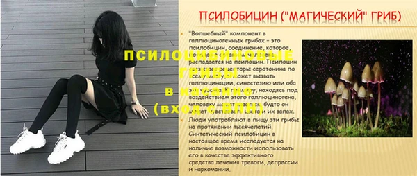 твердый Армянск