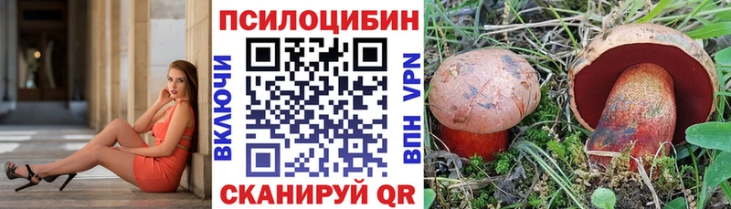 купить наркотики цена KRAKEN tor Псилоцибиновые грибы Psilocybe Малая Вишера
